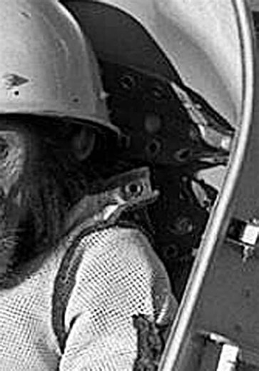 Thoughty2 S03:E19 - Smart, Stupid, & Weird Animals