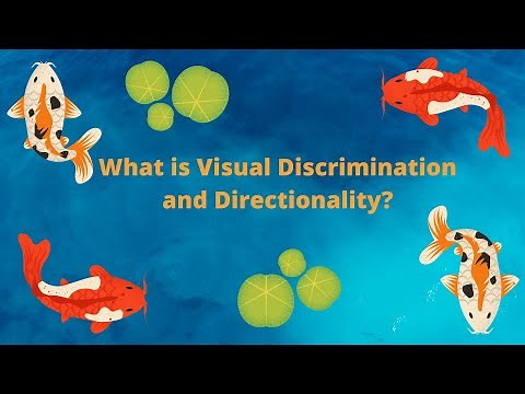 What is Visual Discrimination and What are Some Visual Discrimination Activities