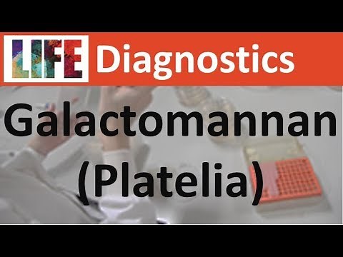 Galactomannan testing (Bio-Rad Platelia kit)
