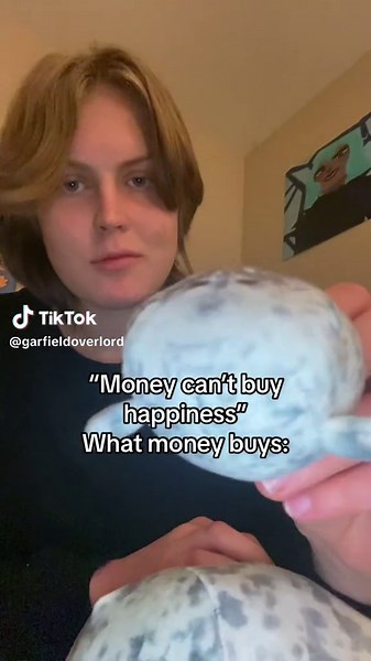 Seal Plushies Collection: From Ugly to Adorable