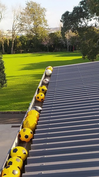 Balls getting stuck in the gutters and blocking the downpipes? Install gutter guards from Four Seasons Gutter Protection #guttermesh #gutterguards #blockedgutters #guttercleaning