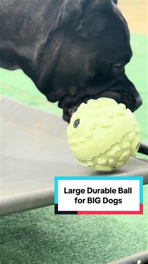 Best Durable Dog Toy for Big Dogs