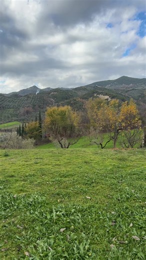 izabela_x (@izabela_x)’s videos with πρωτότυπος ήχος - ALBI 112