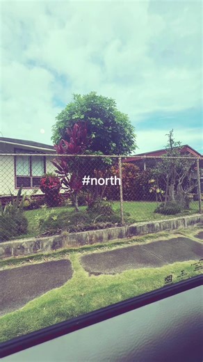 welcome to Grandmas welas house over 100 year all trees maintained the marungay trees planted (by the family) #filipino #northshore but its the Daquioags 😊😊😊😊😊