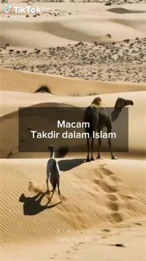 may.D (@may.d90)’s videos with suara asli - may.D