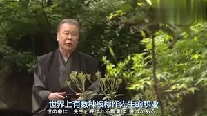 《胜者即是正义》系列电视剧合集_LegalHigh：古美门帮政客当辩护律师，这次终于不敢乱说话了_电视剧