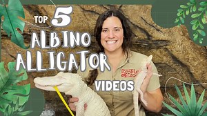 5.5K views · 119 reactions | Get ready for an incredible journey as I...