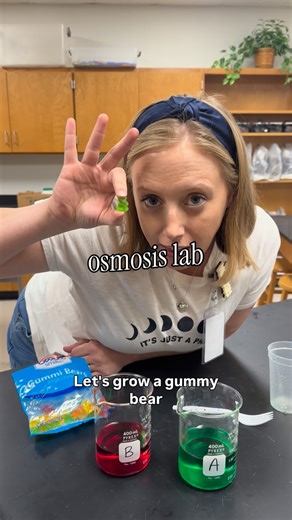 Bio with Mrs. Mac on Instagram: "realized i haven’t been sharing my videos from tiktok! I finally turned my osmosis lab into a free classroom-ready resource 👀🧪 This is one of those labs that actually helps students see what osmosis is doing instead of just memorizing definitions. Minimal prep, real data, and it works with on-level kids. If you teach cell transport, save this for later or send it to a teammate who’s tired of labs that flop. Link is in my bio. #biologyteacher #scienceteacher #os