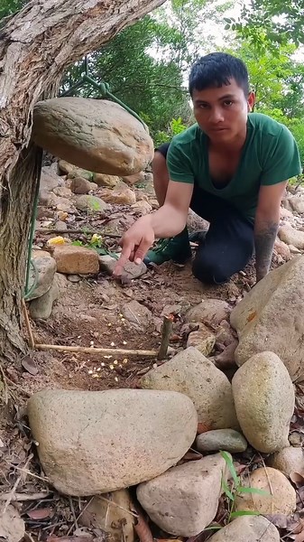 Traps mouse most effective #trapperwild #trap #bushcraft