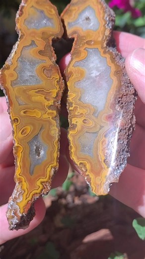Pair Condor Agate from Argentina * Collector Piece https://www.etsy.com/listing/1806262069/pair-condor-agate-from-argentina | Minerals and Rocks from Argentina