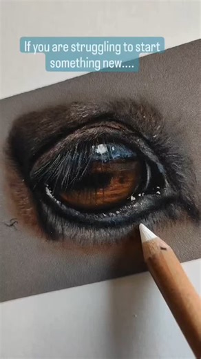 560 reactions · 13 shares | ✨“You don’t need to be great to start,...