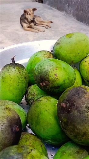 mango #vlcreations6046