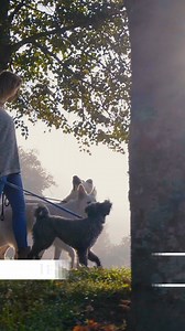 34K views · 73 reactions | Paws-itively Delicious, Paws-itively Caring: Buy One, Give One Dog Treats. We feed ourselves the best to be our best, so why not treat your four-legged friend the same way? Enjoy our premium dog treats - buy one, gift one to a shelter dog. Your kindness will help ensure all pups can be their best. www.heartofthecanine.com #DogLovers #BuyOneGiftOne #BeADogHero #SupportShelters #AdoptDontShop #SpreadTheLove | Liver King | Facebook