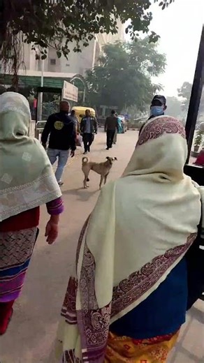 AIIA(all india institute of ayurveda) delhi🏥 #Aiia #delhi #aiimsdelhi