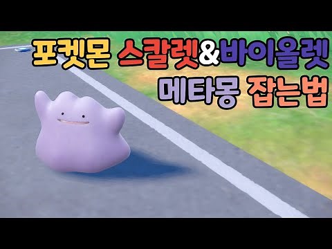 [포켓몬 스칼렛&바이올렛] 메타몽 잡는법.
