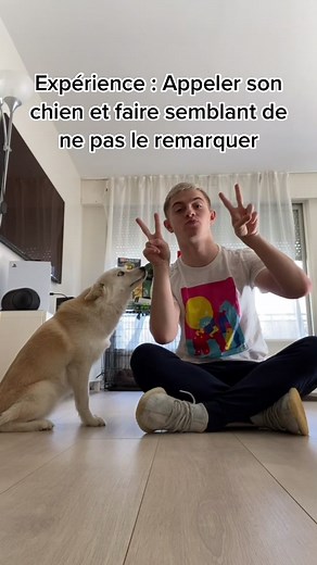 Elle a paniqué à la fin elle voulait plus me lâcher 😭😂 sacré Yuki #pourtoi #michou #yuki