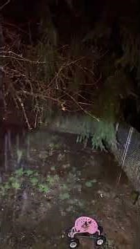 Dec 10,2025 update 5 #environmentalcleanup #citygirlgonecountry