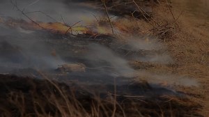 Pawnee County on Reels