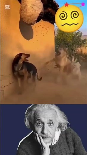 😀😀😀😀😀😱😱😱😱😱