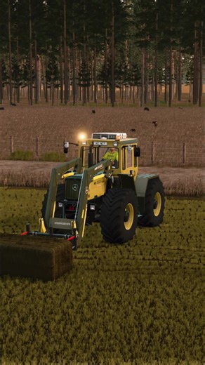 farming sim on TikTok