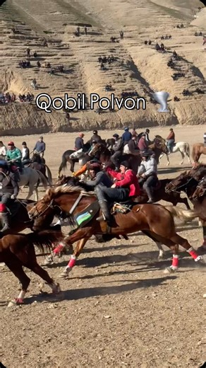 Javajon_18  on Instagram: "Qobil Polvon"