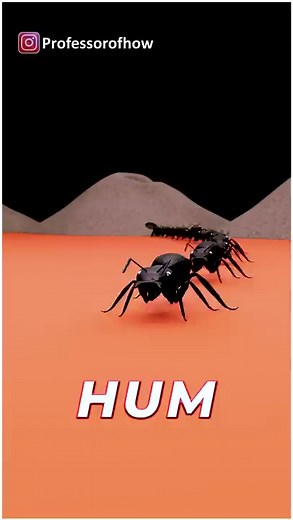 New 3D Animation video part16 #3danimation #professorofhow #viral | Professor Of How