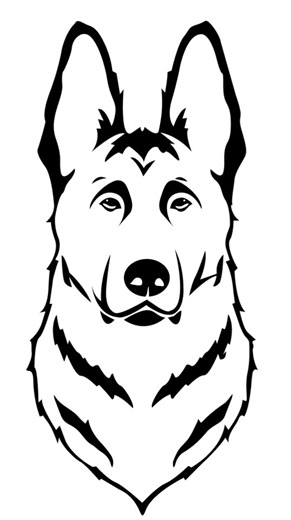 35 reactions · 5 comments | We would like to welcome...