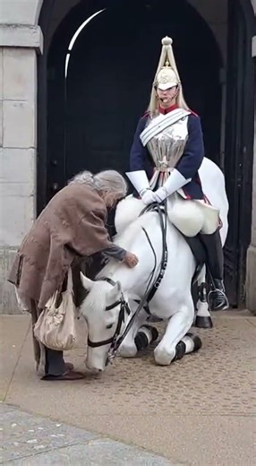 The most affectionate guard ever 🐴