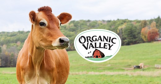 2025 Organic Valley Impact Report