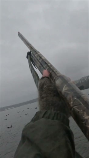 Expensive diver ducks eating rounds on a slow day #duckblind #duckhunting #duckhunt #huntingseason