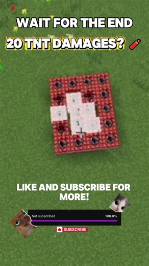 20 Block TNT Test BOOM 💥 #minecraft #shorts