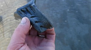 7.1K views · 360 reactions | What a find out on the Severn estuary at...