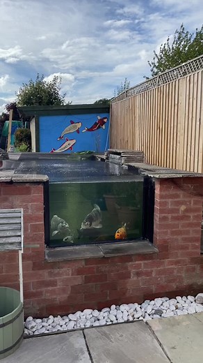 Clear Water in Two Stunning Koi Ponds