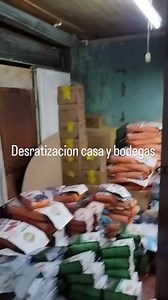 Empresa trancorpas control de plagas | trancorpas