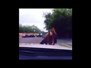 Why you coming fast? Meme compilation