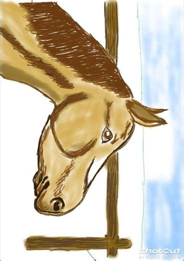 Toujours le travail sur les contours à la tablette repaper