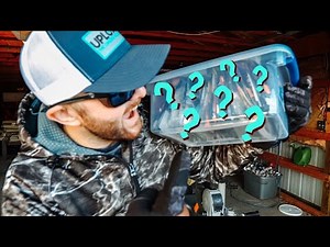 Fishing HACK to Store SOFT PLASTIC Baits (EASY)