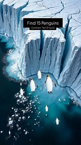 41K views · 60 reactions | Comment Yes If found | Derp | Facebook