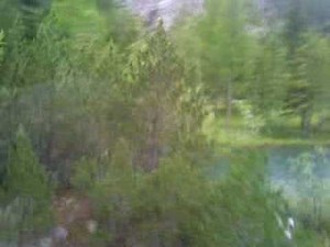 DERBORENCE .........