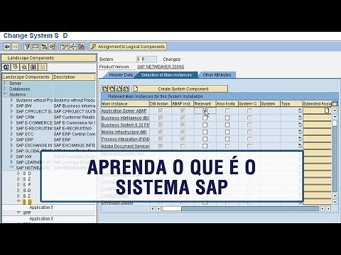 Aprenda oque é o sistema SAP - Ulisses Giovanini