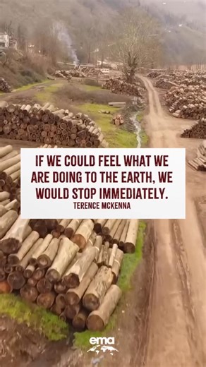 Environmental Media Assoc. on Instagram: "The pain we inflict on the Earth and its #biodiversity will come back to us if we don’t change course. Our purpose should be to steward this precious planet, not exploit and plunder it. #earth#environment#eco#ecofriendlyliving#ecofriendlyhome#sustainablymade#wildlife#animalrights#greenliving"