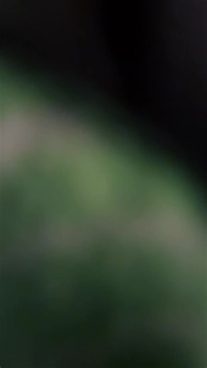 Pyrotechnik (@pyrotechnik12)’s videos with Originalton - Pyrotechnik
