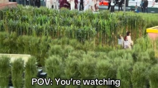 Video reveals underwhelming reality of Halftime show for those there