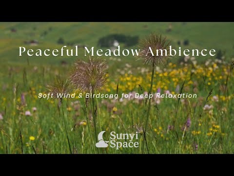 Peaceful Meadow Ambience — Soft Wind & Birdsong for Deep Relaxation