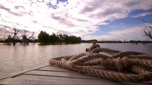 Australia to review Murray-Darling water distribution