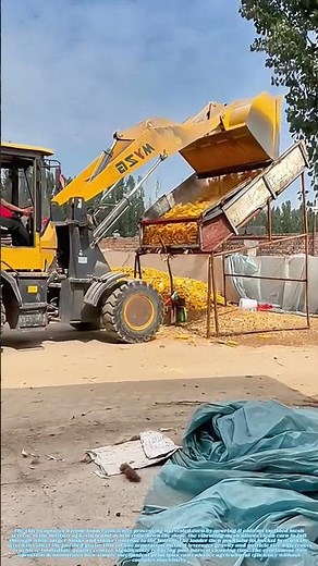 Sifting Harvest: How a Simple Slope Separates Grain from Chaff