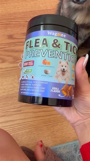 Watch Flea and tick prevention chewable dog treats on Amazon Live
