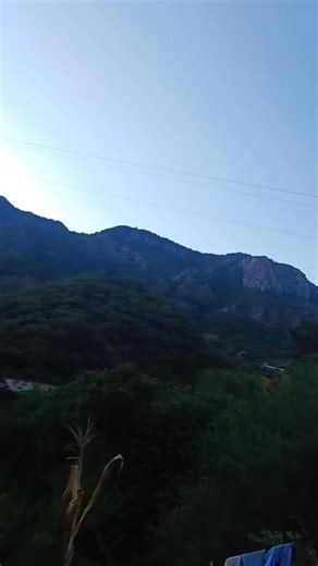 Pura chamba 🌲✌🏻 | Los Hermanos Sanchez Del Río Oficial