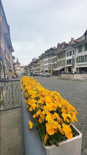 Discovering the Hidden Beauty of Murten, Switzerland 🇨🇭