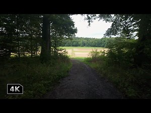 Peaceful Walk Through Forest Trails and Open Fields | Nature Walk in 4K